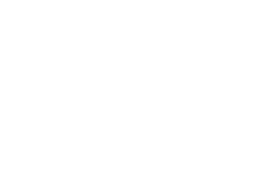 Wild Acai Logo 2