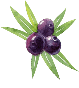Acai Berries 2